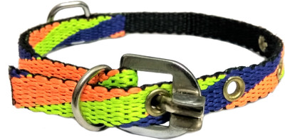

Sollar's Dog Everyday Collar(, Multicolor