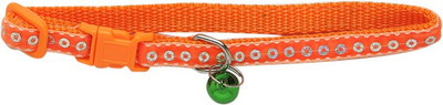 

Ecocart Dog & Cat Show Collar(, electric orange