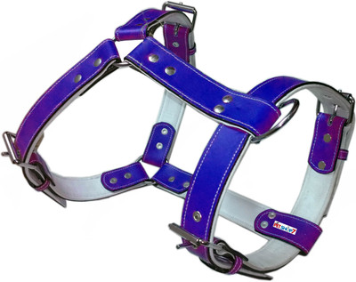 

Petshop7 Blue Leather Harness 1.25 Inch  Dog Standard Harness(, Blue