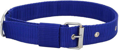

Imago Dog Everyday Collar(, Blue