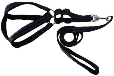 Pet Centre Dog Standard Harness(, Blue