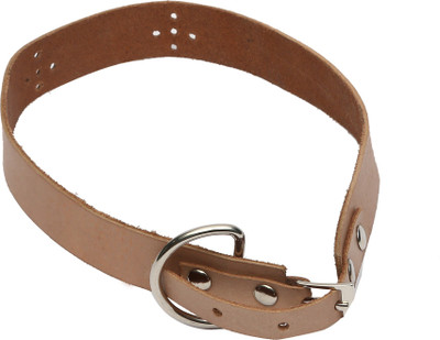 

Hawai Dog Everyday Collar(, Light Brown