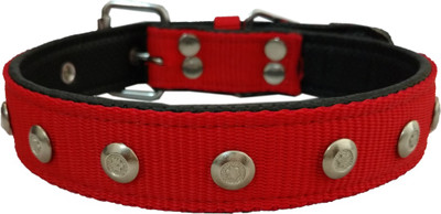 

Petshop7 Nylon 1 inch  soft Padding Dog Everyday Collar(, Red