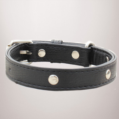 

Pet Connect Pet Connect The Pup In Black Dog Collar Size  Dog Everyday Collar(, Black