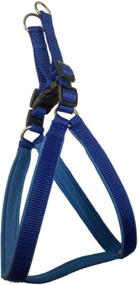 

Sollar's .75 inch Dog Standard Harness(, Blue