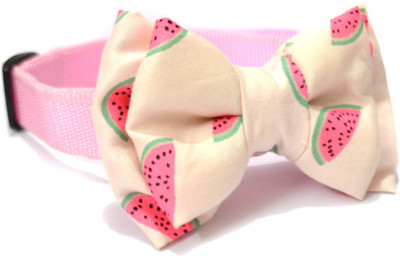 

That Dog in Tuxedo Fruity Watermelon (M-L) Dog Show Collar(, Pink