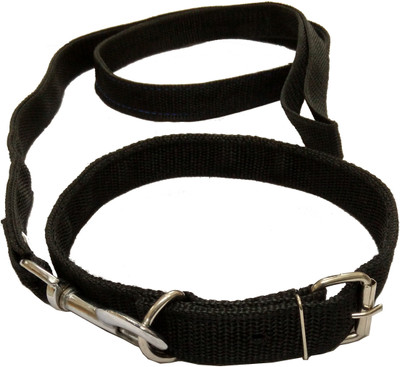 

Sollar's Dog Collar & Leash(, Black
