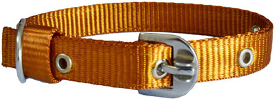 

Paw Zone Dog Anti-stress Collar(, Gold