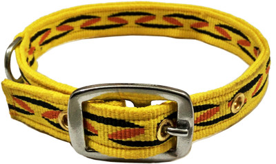 

Sollar's Dog Show Collar(, Yellow