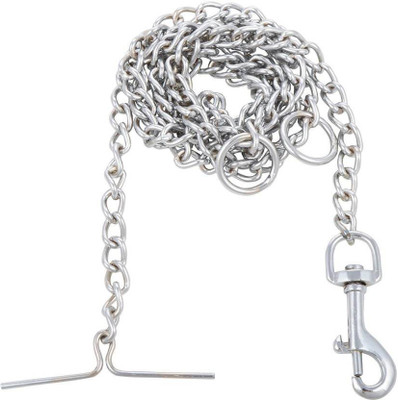 

Imago Dog Collar & Chain(, Silver