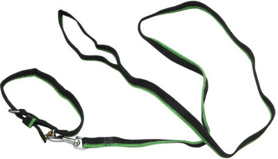 

Ecocart Dog & Cat Collar & Leash(, black, green
