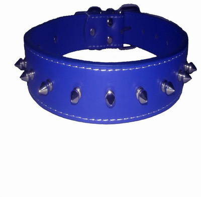 

Pets Planet Dog Everyday Collar(, Blue
