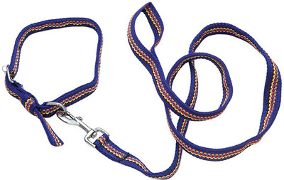 

Ecocart Dog & Cat Collar & Leash(, blue