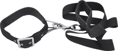

Wonder Wish Dog Collar & Leash(, Black
