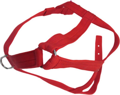 DCS Dog Harness & Leash(, Red