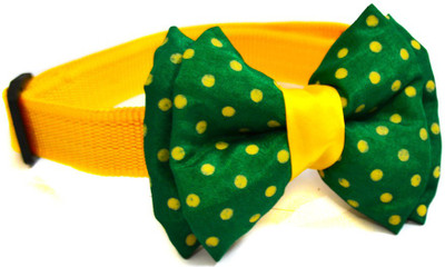 

That Dog in Tuxedo Pluto BowTie - M-L Dog Everyday Collar(, Yellow