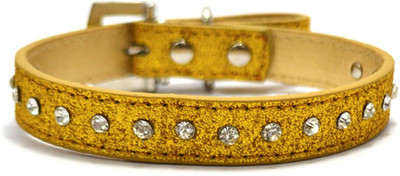 

That Dog in Tuxedo The Golden Night Dog Everyday Collar(, Golden