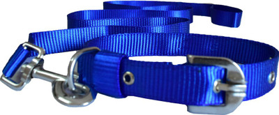 

Paw Zone Dog Collar & Leash(, Blue