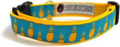 

That Dog in Tuxedo Pineapple - M-L Dog Everyday Collar(, Blue