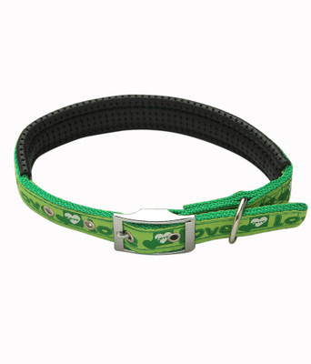 

Ecocart Dog & Cat Everyday Collar(, green