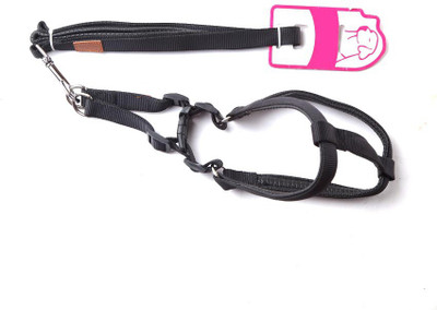 

Ecocart Dog Harness & Leash(, black