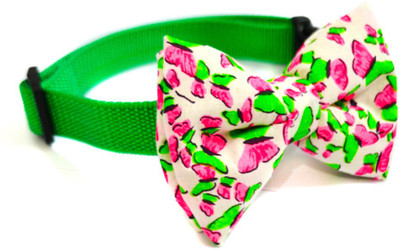 

That Dog in Tuxedo Butterfly Magic -M-L Dog Everyday Collar(, green