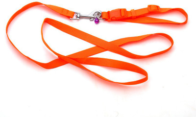 

Ecocart Dog & Cat Collar & Leash(, peppy red