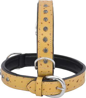 

Wonder Wish Dog Everyday Collar(, Tan