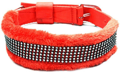 

Pet Club51 Pet Club51 Dog Everyday Collar(, Red