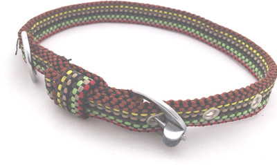 

Scoobee Dog Everyday Collar(, Dark Brown