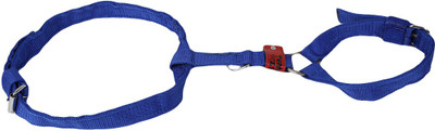 

TommyChew Regular Dog Safety Harness(, Blue
