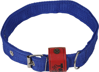 

TommyChew Regular Dog Everyday Collar(, Blue