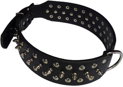 

Pets Planet Dog Everyday Collar(, Black
