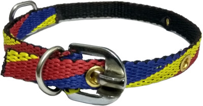 

Sollar's Dog Everyday Collar(, Multicolor