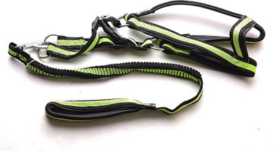 

Ecocart Dog Harness & Leash(, neon green n black