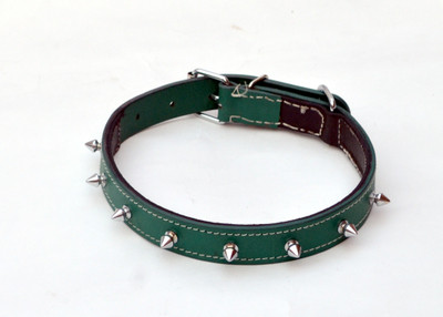 

Pethub SINGLE SPIKE GREEN  Dog Show Collar(, Green