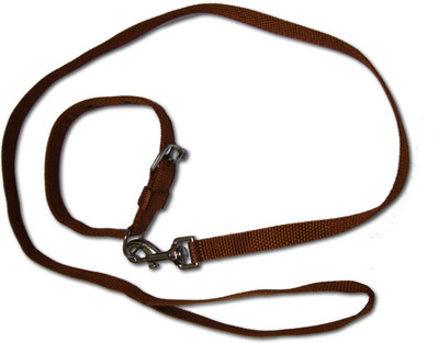 Smarty Pet Control Collar Dog Everyday Collar(, Brown