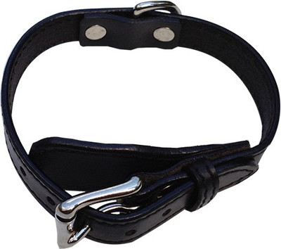 Pet Lovers NZ Dog Everyday Collar(, Black