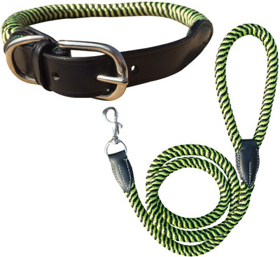 

NappetsIndia Secure Dog Collar & Leash(, Green, Yellow