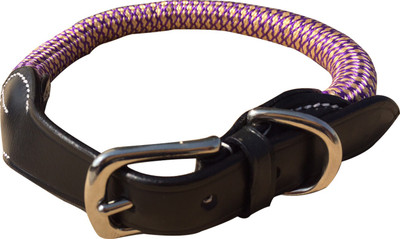 

NappetsIndia Secure Dog Everyday Collar(, Purple, Yellow