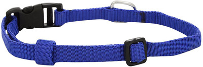 

Excite Bites Dog Everyday Collar(Extra Small, Blue, Adjustable Collar 0.50" (For Puppy) (Size - Extra Small) (Color - Blue))