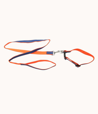 

Ecocart Dog & Cat Collar & Leash(, orange, blue, Blue;orange