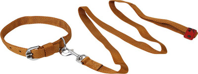 

TommyChew Regular Dog Everyday Collar(, Brown