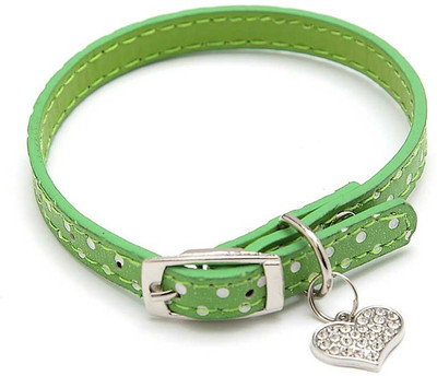 

Ecocart Dog Everyday Collar(, green collar