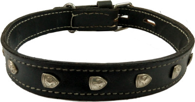 

Sollar's Dog Everyday Collar(, Red