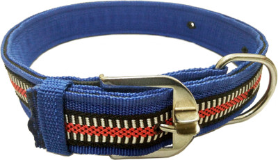 

Sollar's Dog Everyday Collar(, Blue