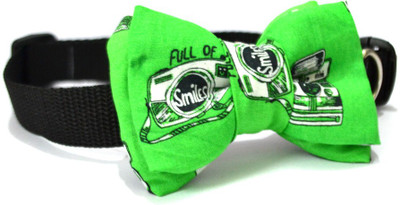 That Dog in Tuxedo Shutterbug Dog Show Collar(, Green