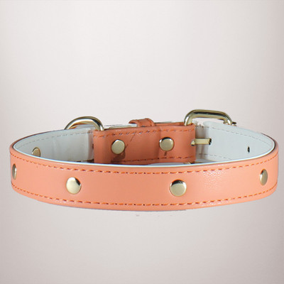 

Pet Connect Pet Connect The Pampered Pooch Dog Collar Size  Dog Everyday Collar(, Peach & White