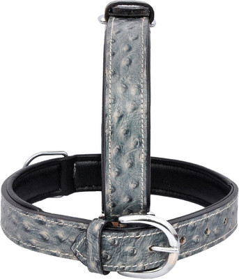 

Wonder Wish Dog Everyday Collar(, Grey