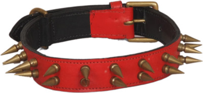

Pethub Dog Show Collar(, Multicolor
